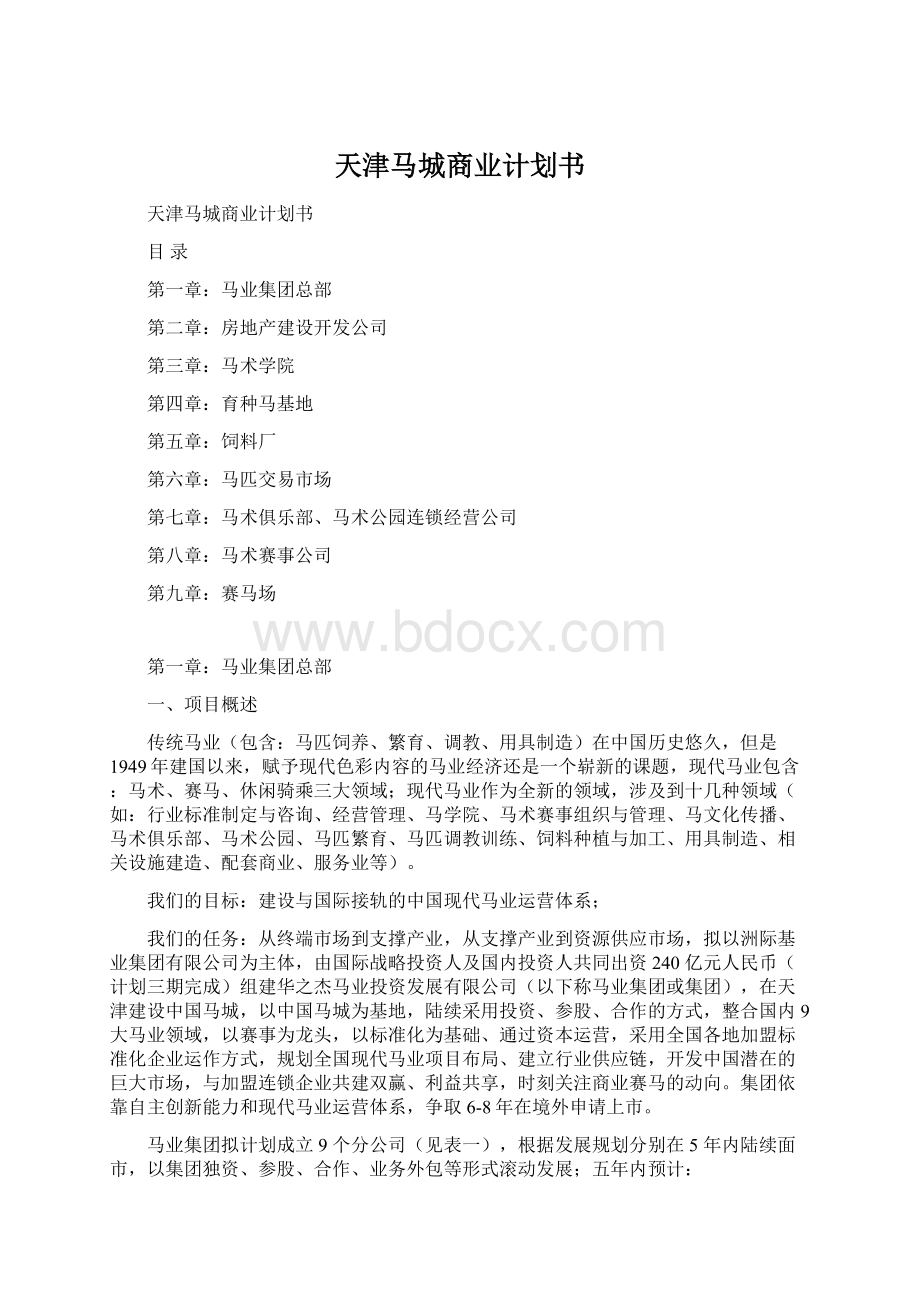 天津马城商业计划书.docx