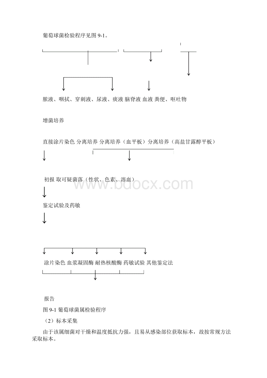 上海交大网络课程检验微生物讲义32讲课稿.docx_第3页