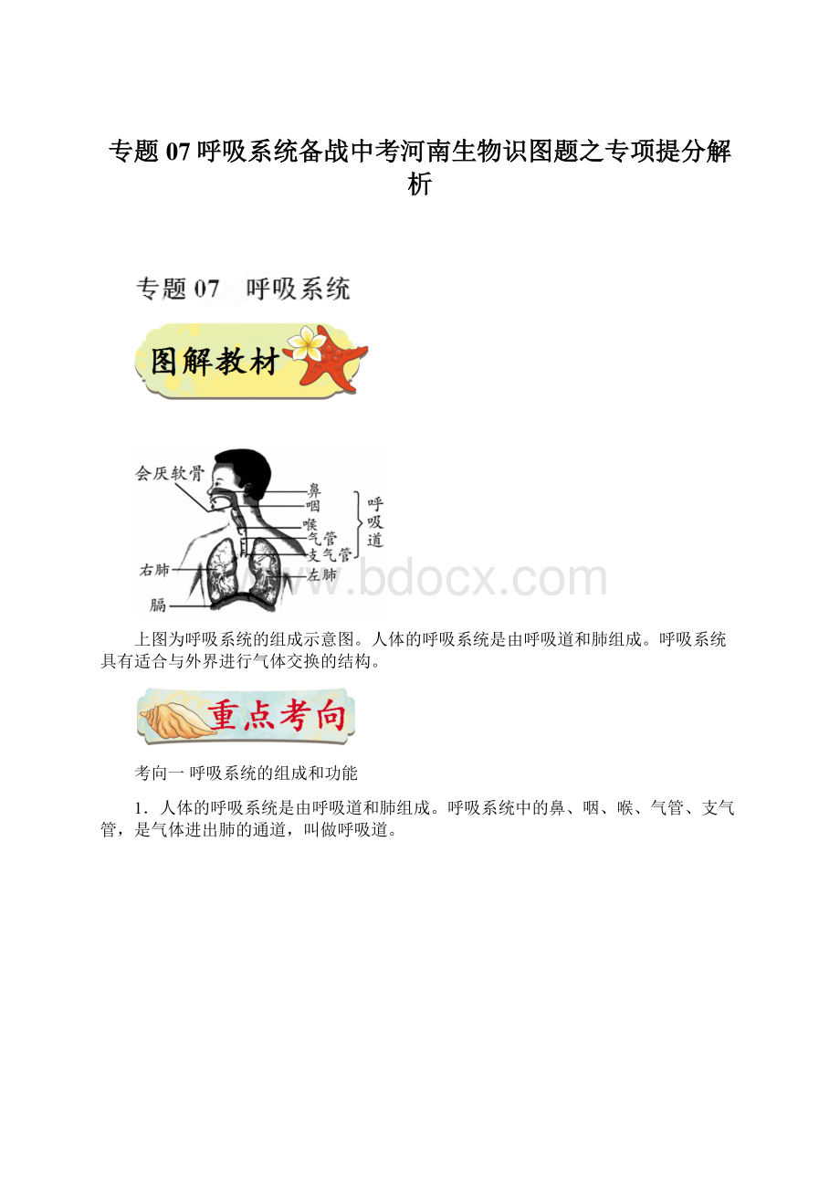 专题07呼吸系统备战中考河南生物识图题之专项提分解析.docx