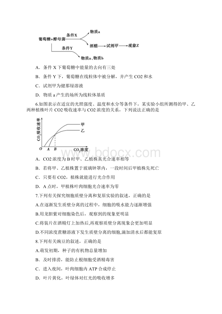 届高三上学期期末考试生物试题精品附参考答案.docx_第2页