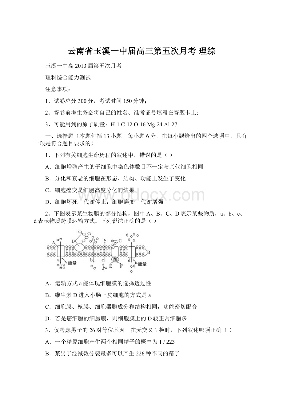 云南省玉溪一中届高三第五次月考 理综.docx_第1页