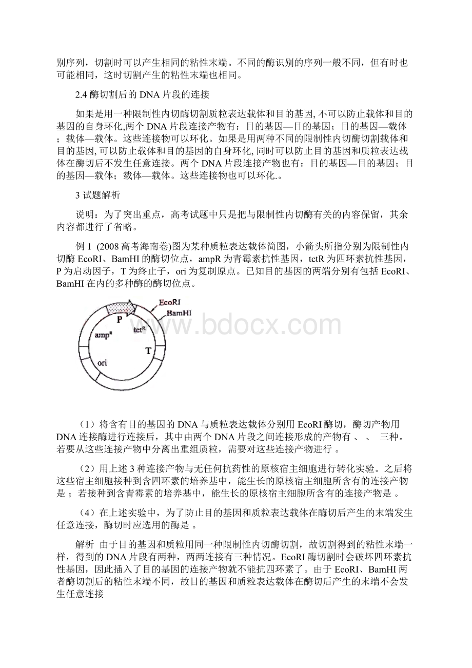 限制性内切酶考点小结.docx_第2页