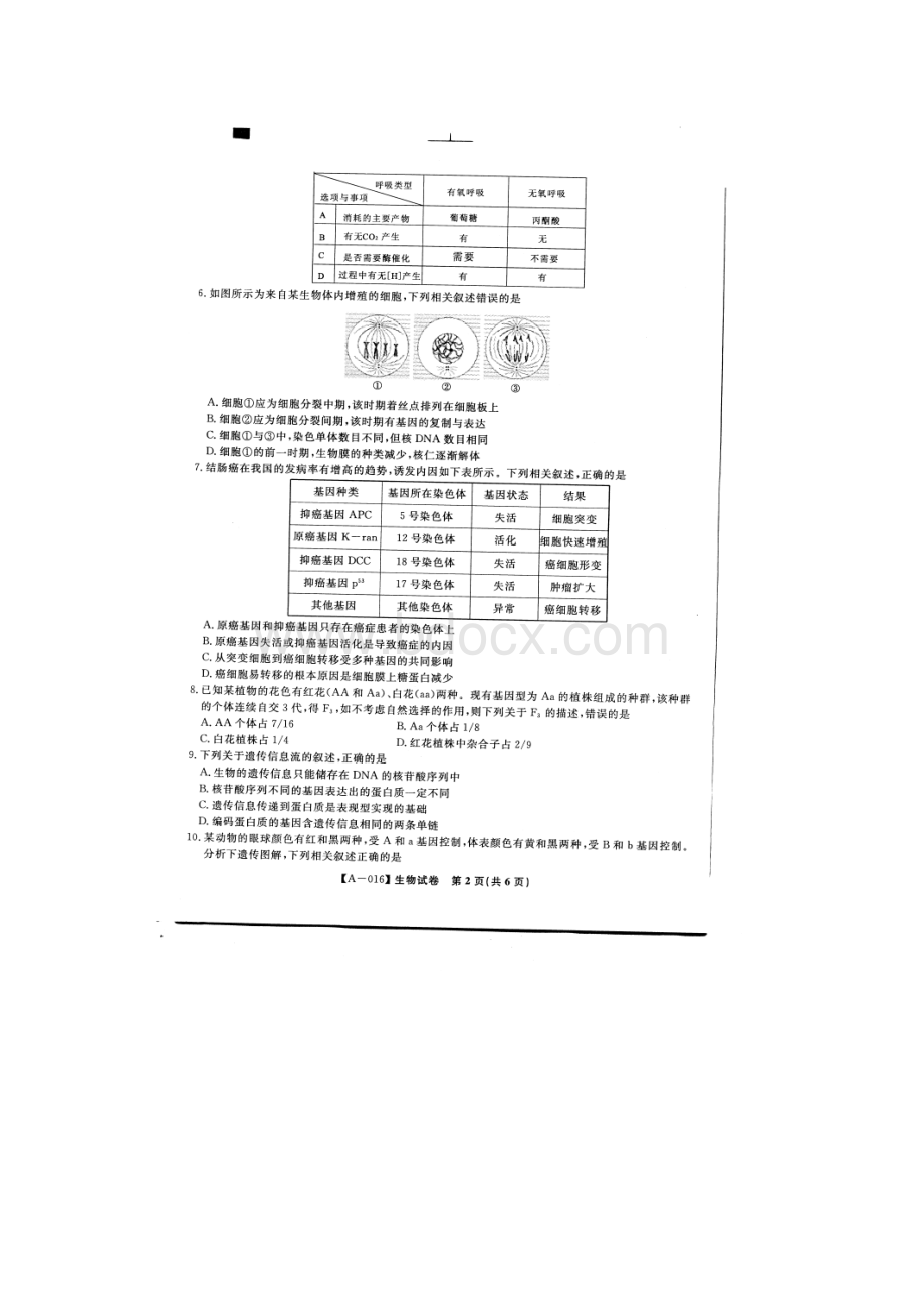 高考全国卷模拟卷速递安徽省示范高中届高三第一次联考生物试题 扫描含答案.docx_第2页