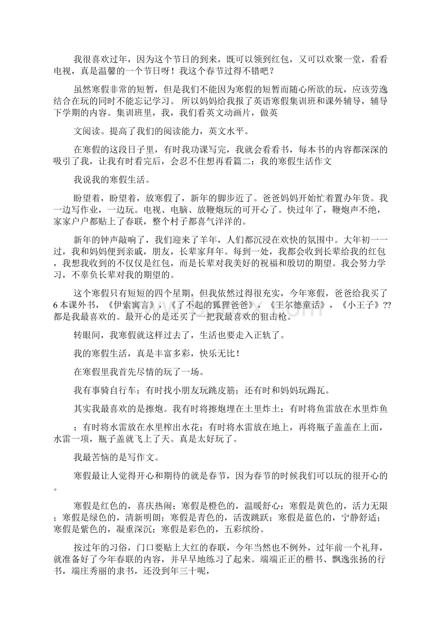 快乐的假期作文500字.docx_第2页