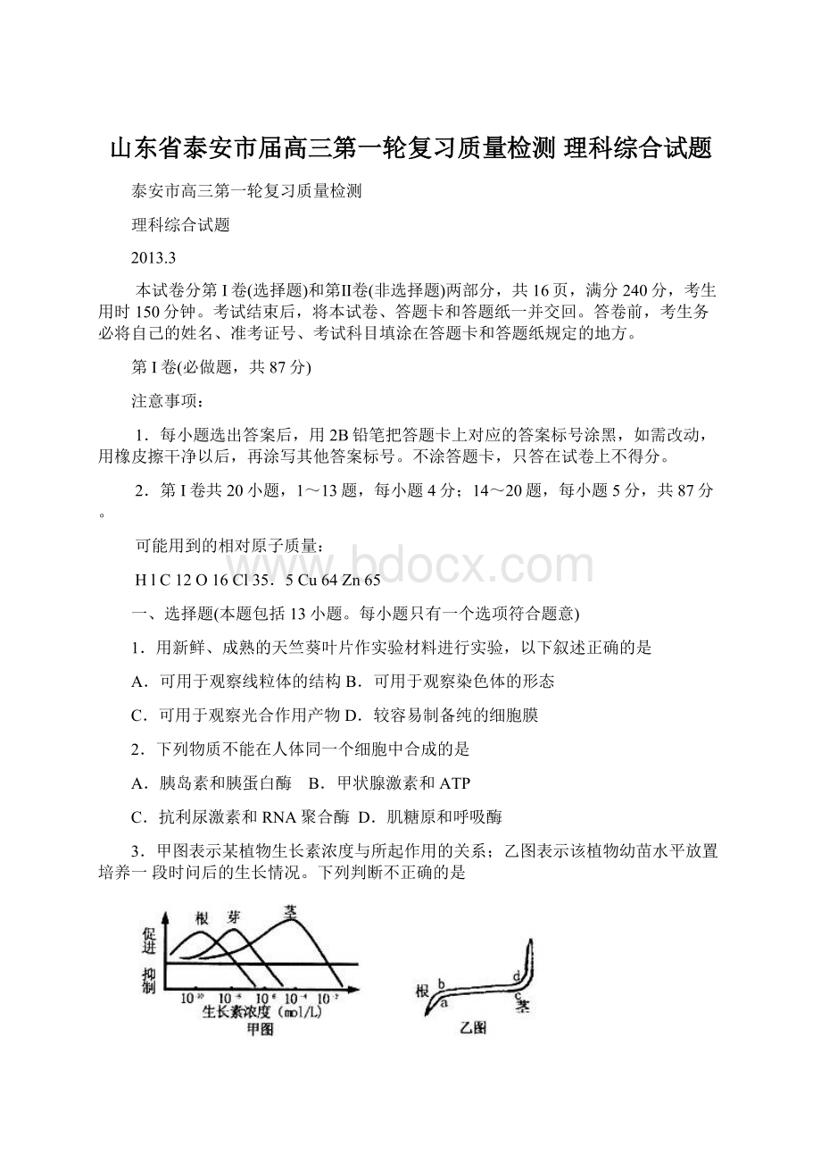 山东省泰安市届高三第一轮复习质量检测 理科综合试题.docx