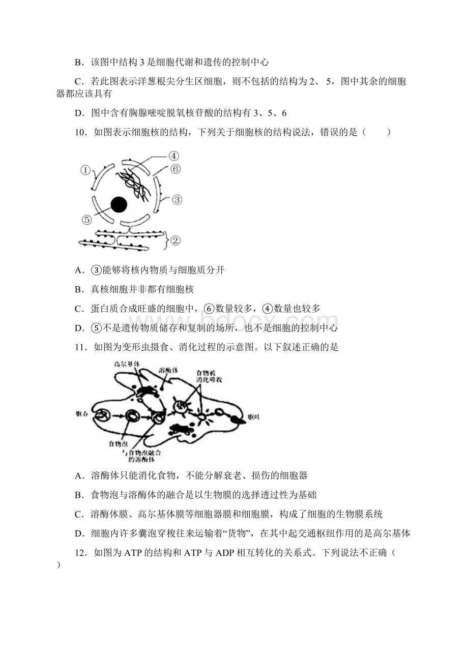 浙江省丽水外国语实验学校学年高一上学期第三次月考生物试题.docx_第3页