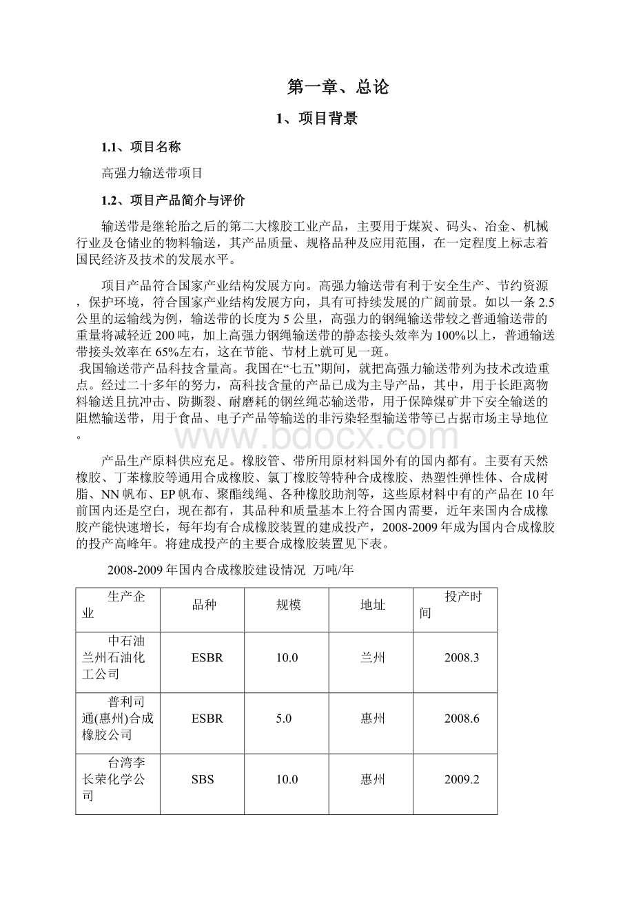 高强力输送带项目可行性研究报告.docx_第2页