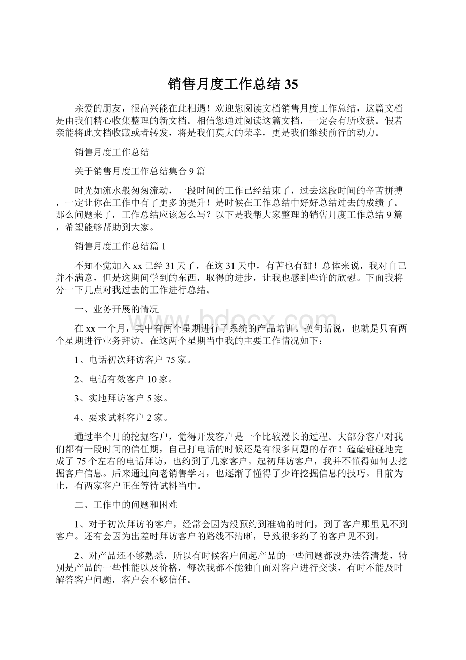 销售月度工作总结35.docx