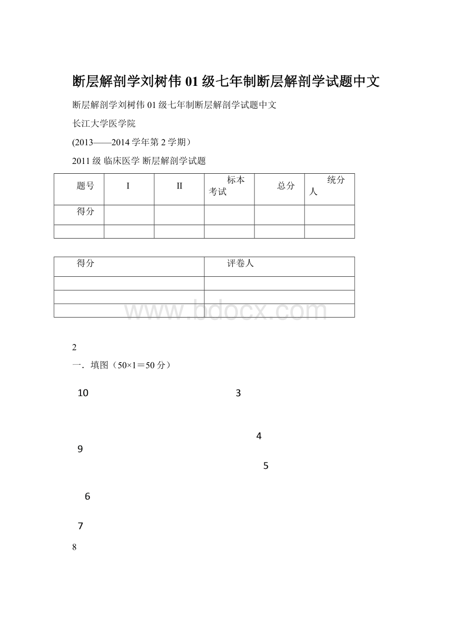 断层解剖学刘树伟01级七年制断层解剖学试题中文.docx_第1页