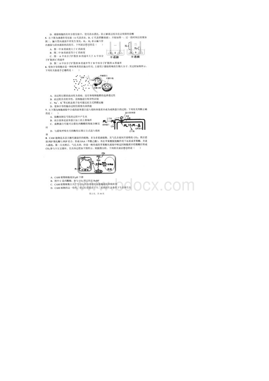 生物学竞赛试题及答案.docx_第2页