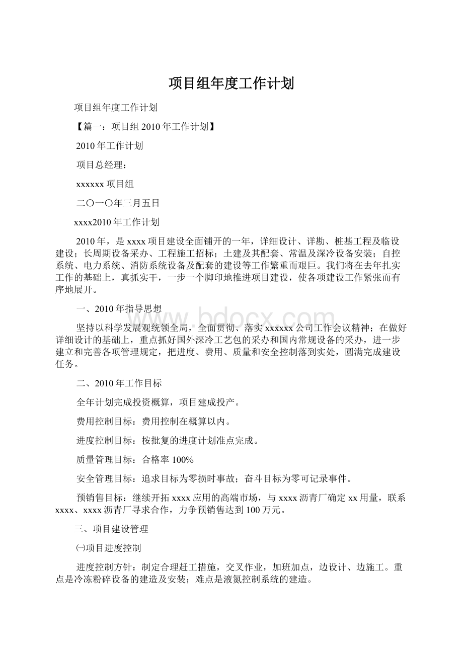 项目组年度工作计划.docx