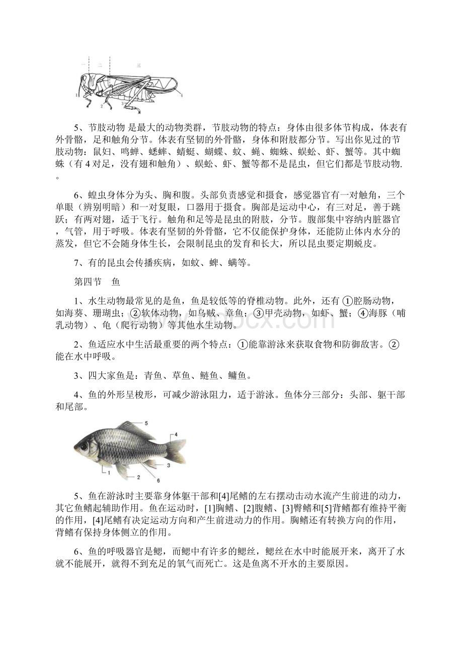 人教版生物八年级上册知识点总结修改.docx_第3页