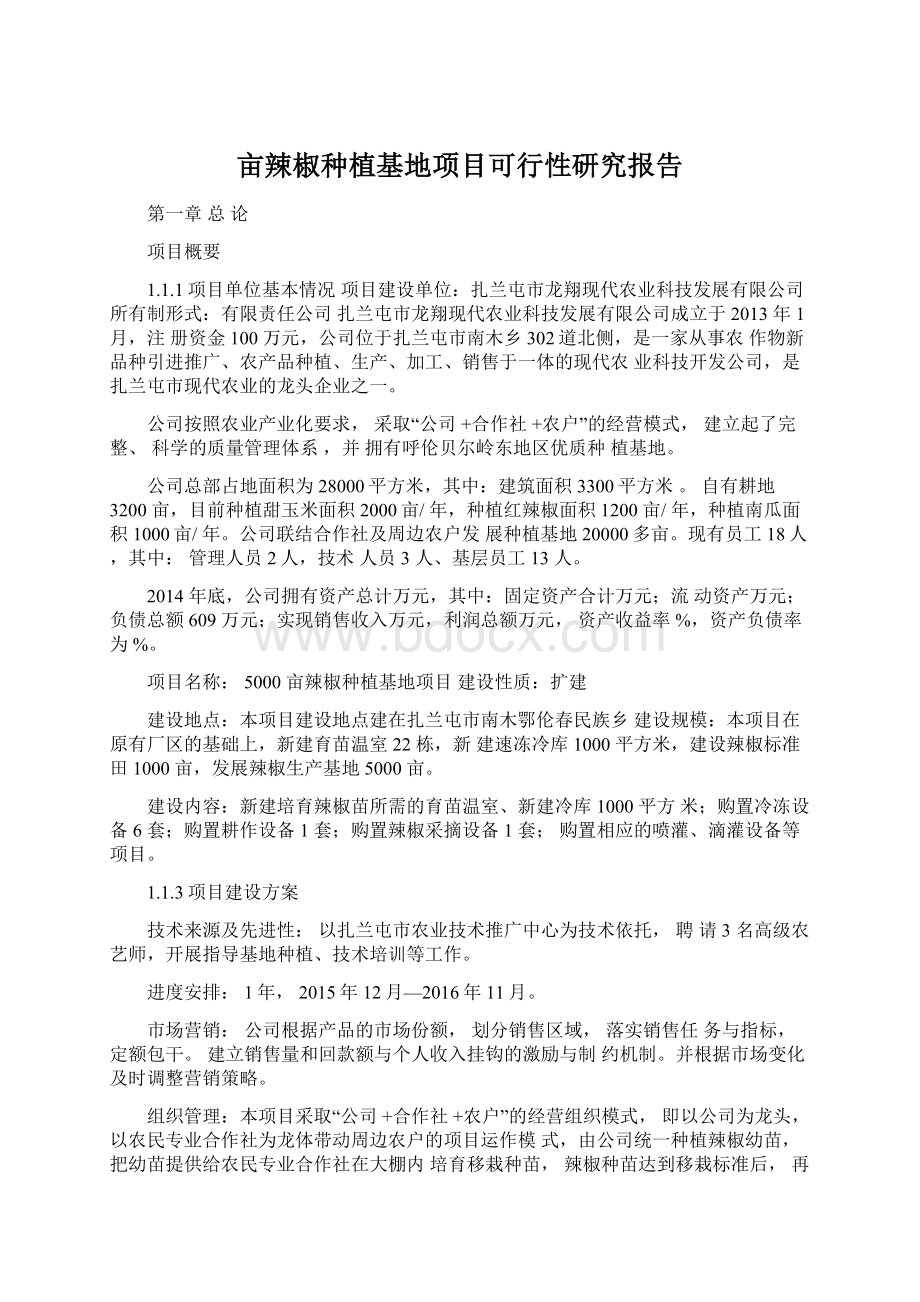 亩辣椒种植基地项目可行性研究报告.docx