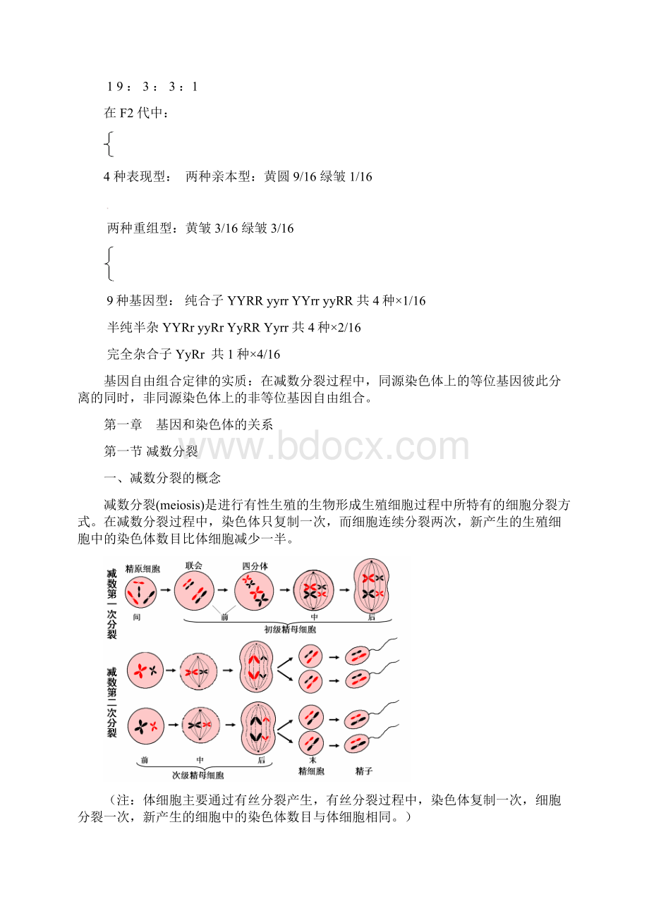 高中生物必修二知识点总结.docx_第3页