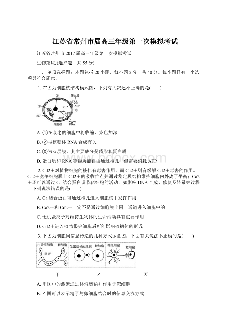 江苏省常州市届高三年级第一次模拟考试.docx_第1页