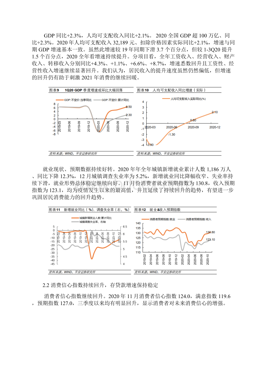 精品大消费行业深度研究报告.docx_第3页