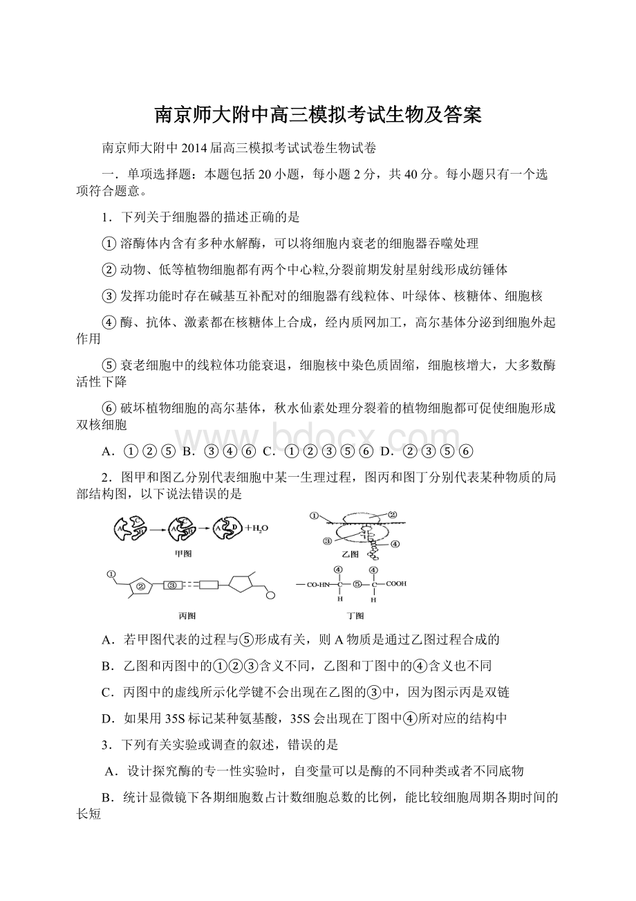 南京师大附中高三模拟考试生物及答案.docx_第1页