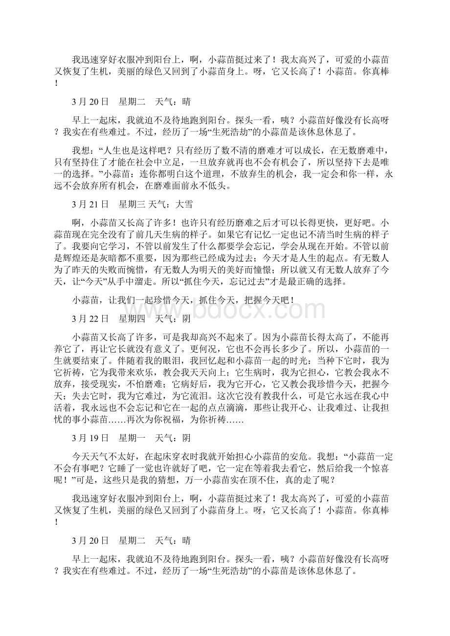 中小学作文精选小学记叙文4小蒜苗的成长记录.docx_第3页