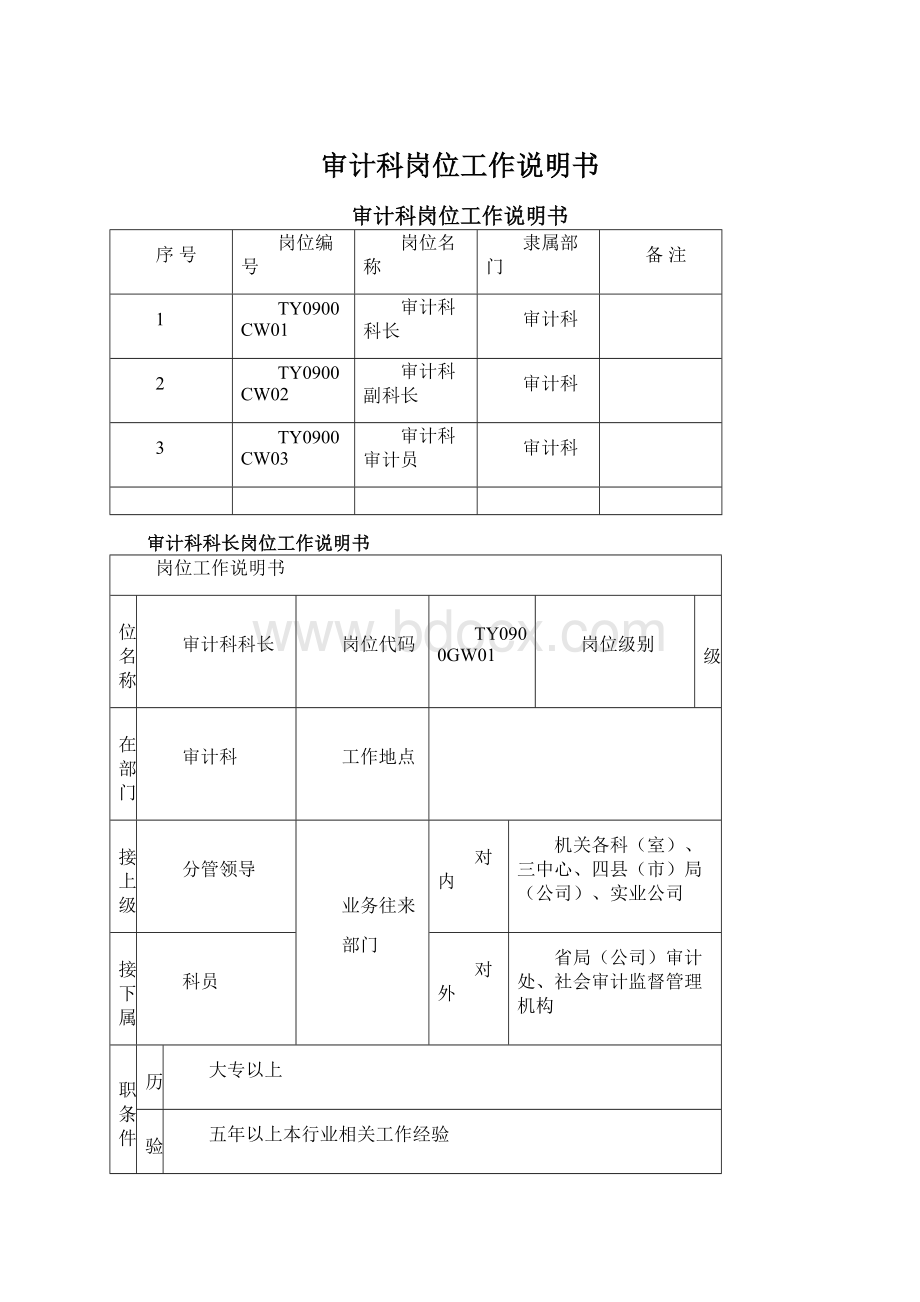 审计科岗位工作说明书.docx