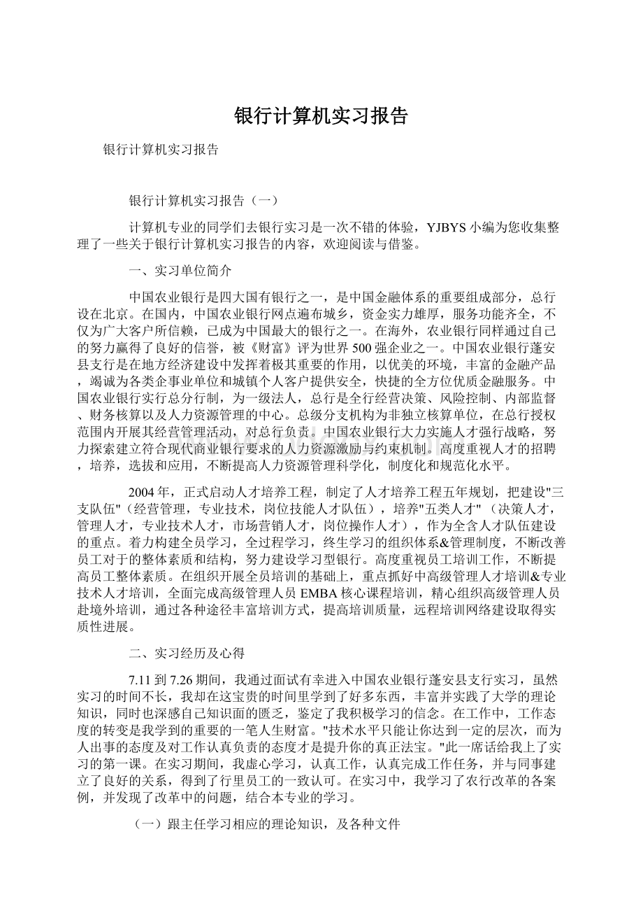 银行计算机实习报告.docx