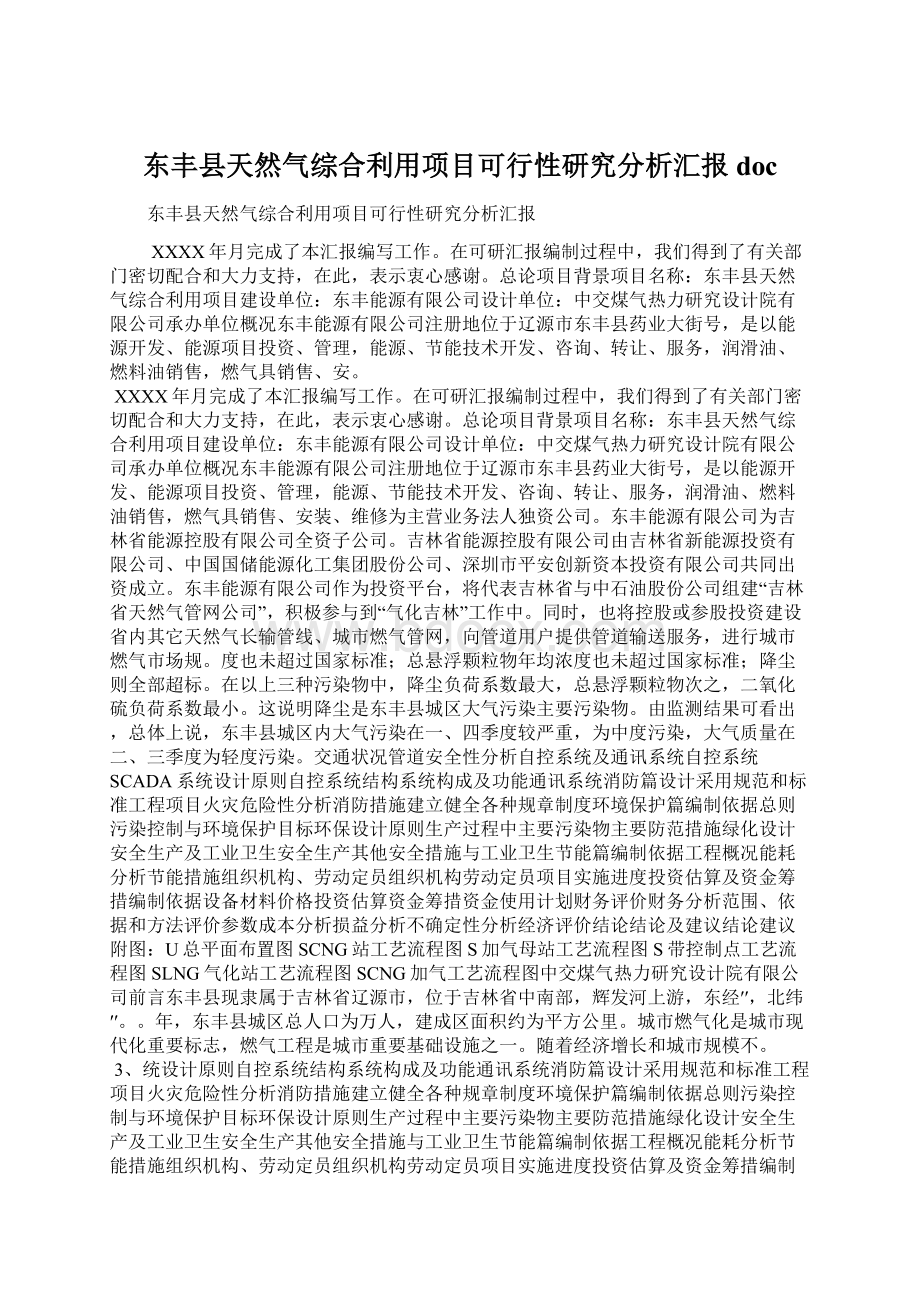 东丰县天然气综合利用项目可行性研究分析汇报doc.docx