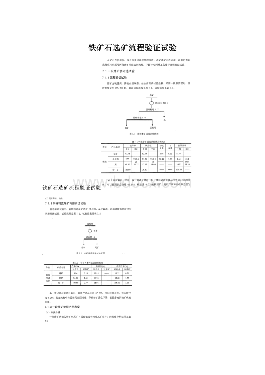 铁矿石选矿流程验证试验.docx