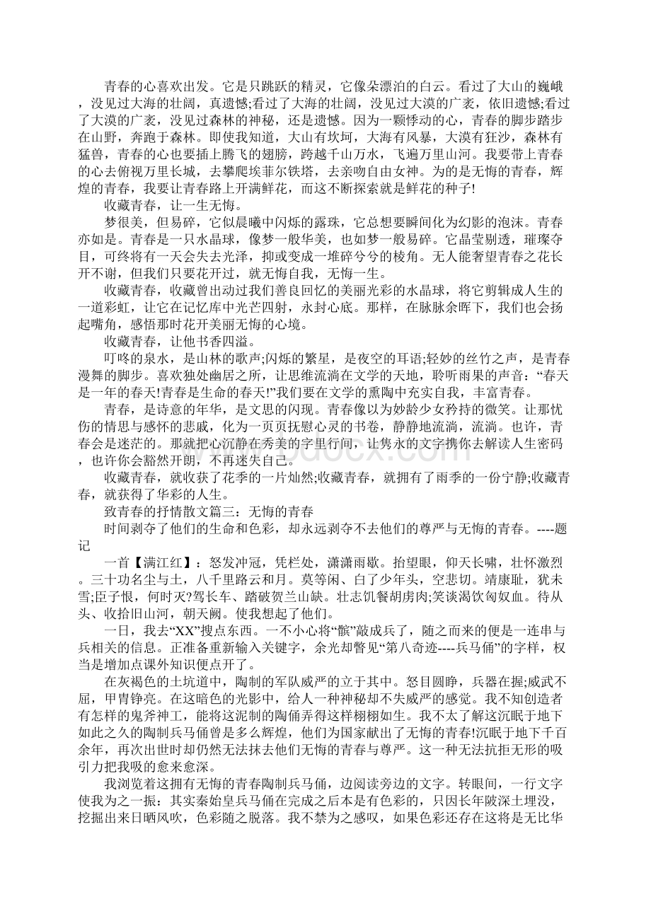 关于致青春的抒情散文5篇.docx_第2页