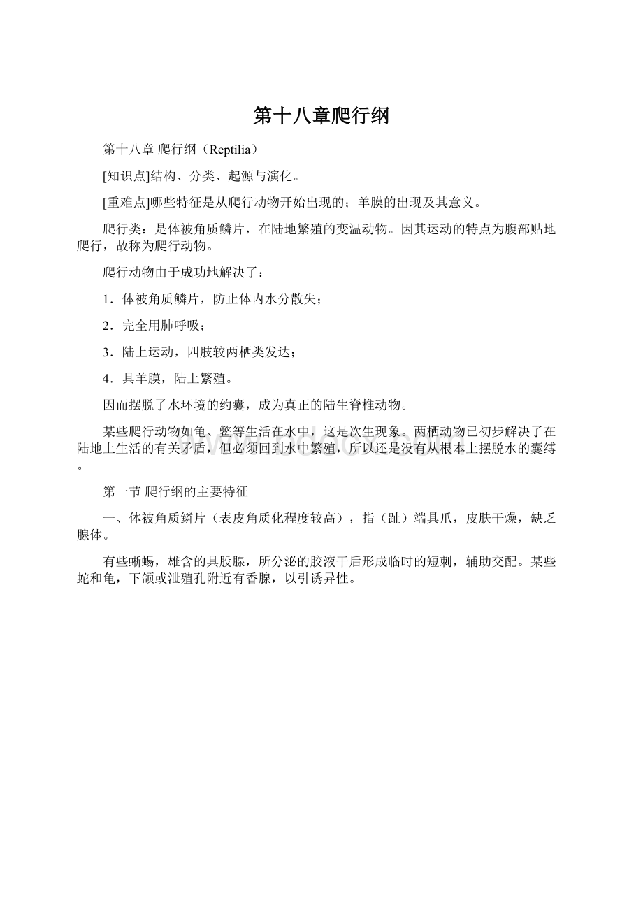 第十八章爬行纲.docx_第1页