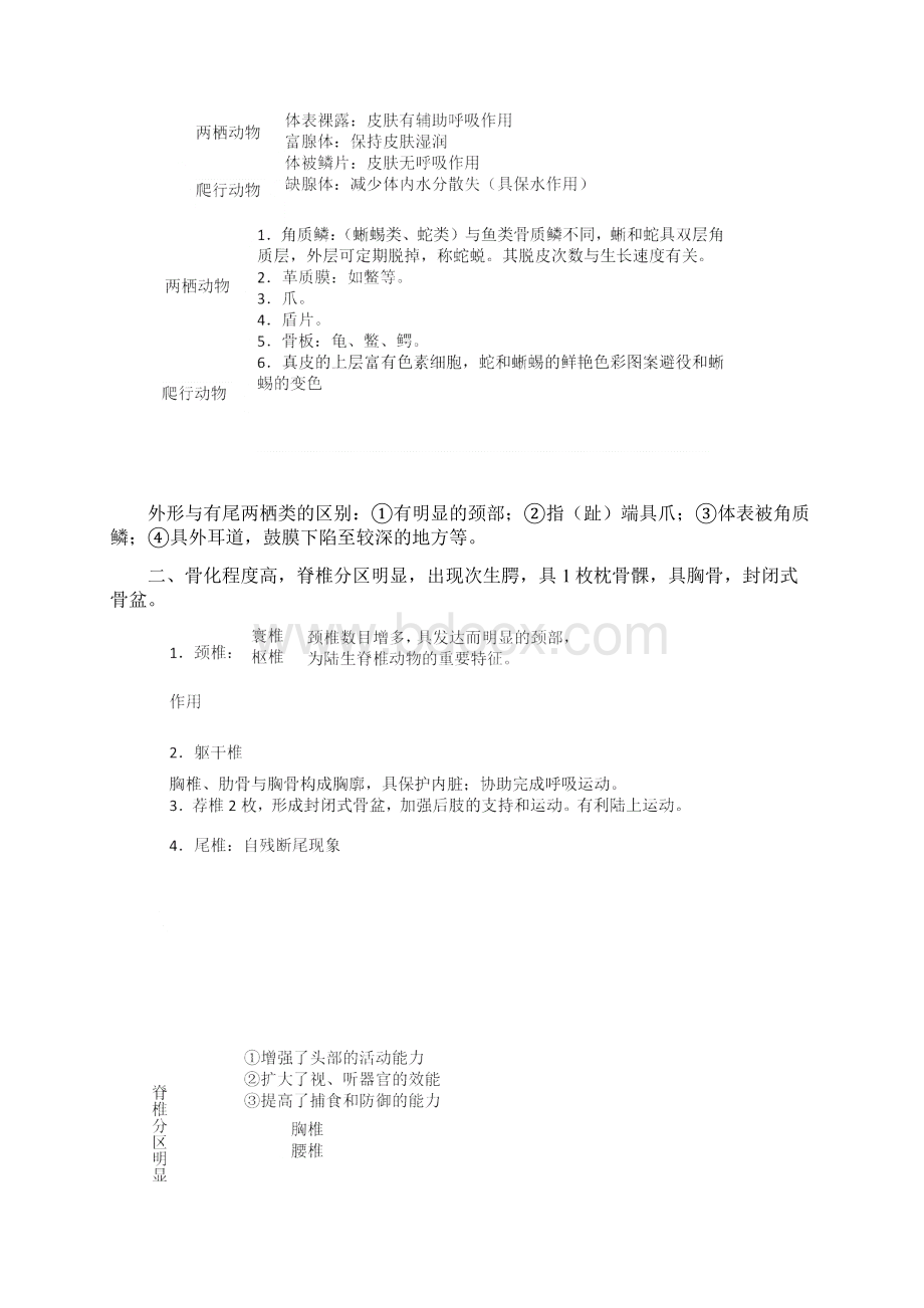 第十八章爬行纲.docx_第2页