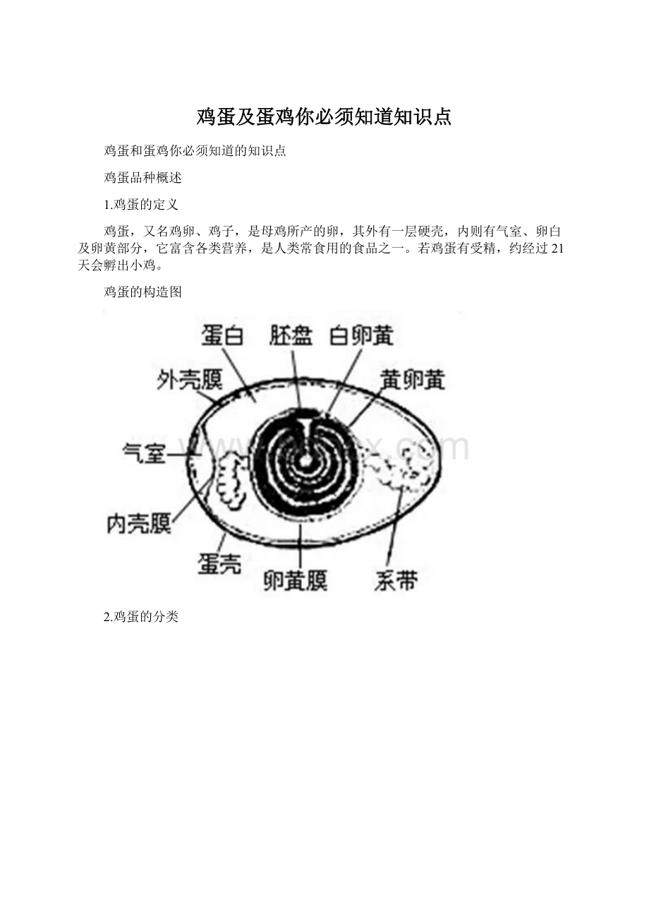 鸡蛋及蛋鸡你必须知道知识点.docx