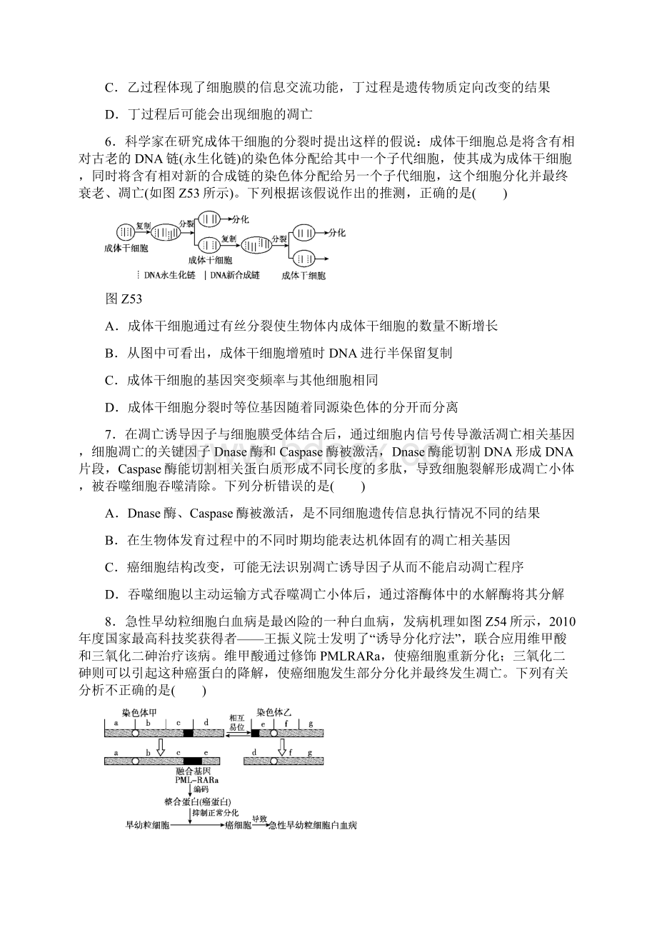 高考生物二轮复习 专题限时集训5 细胞的生命历程.docx_第3页