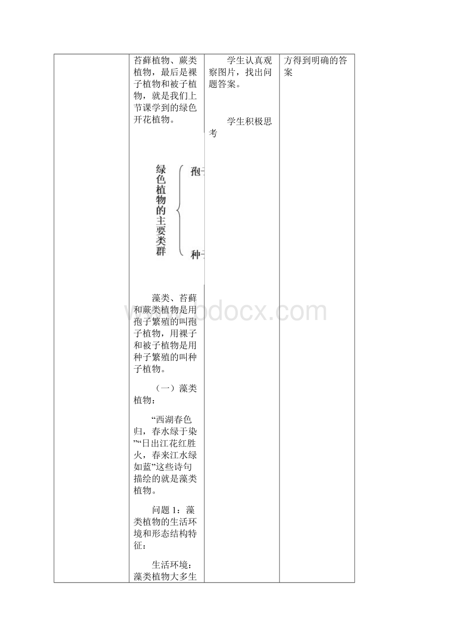 211《绿色植物的主要类群》第一课时教案.docx_第3页