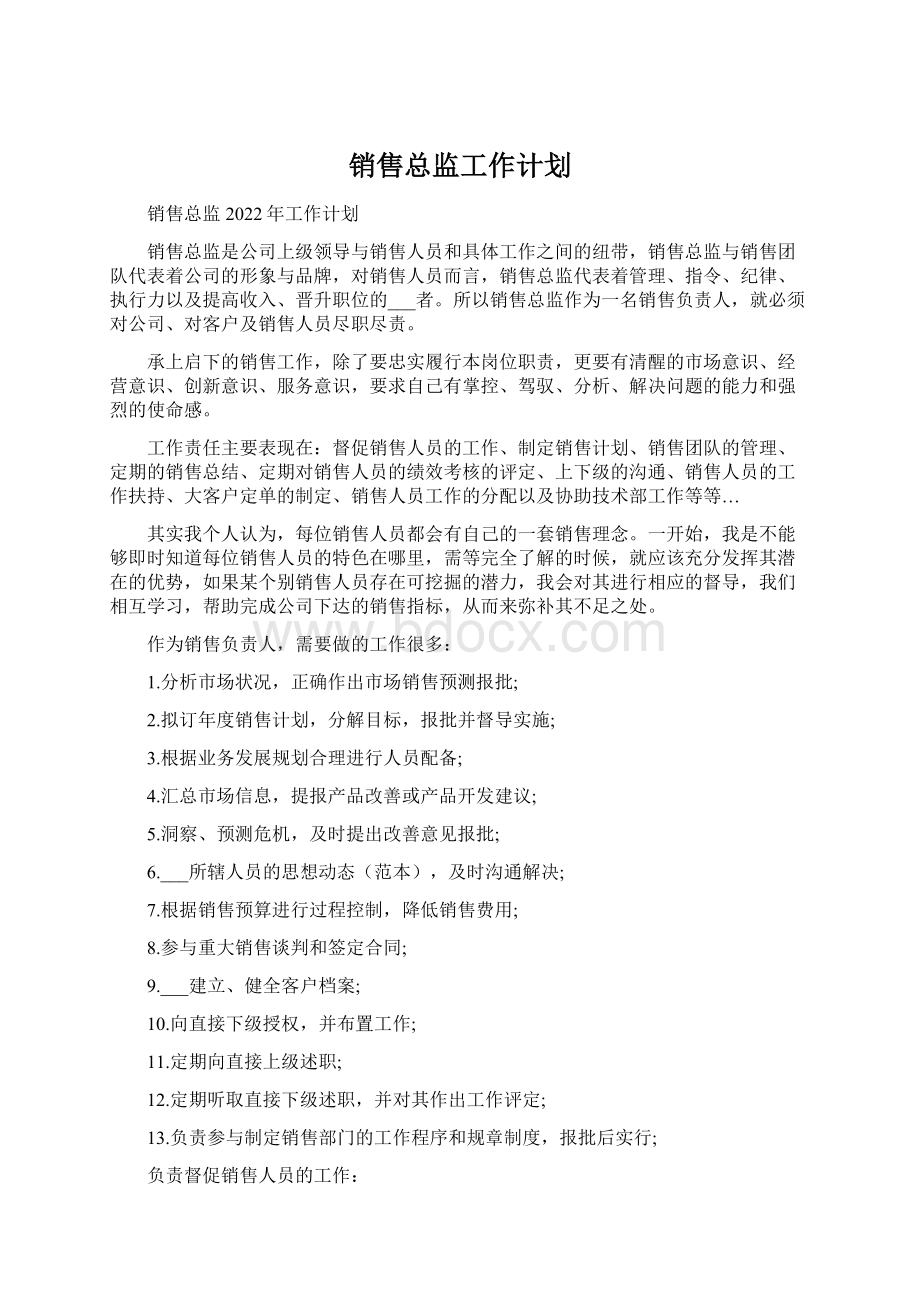 销售总监工作计划.docx_第1页