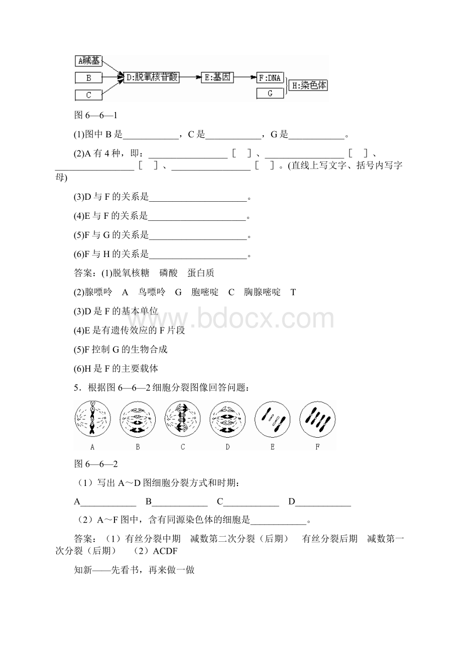 高中生物 第6章 基因的分离定律全套导学案 新人教版必修1.docx_第2页