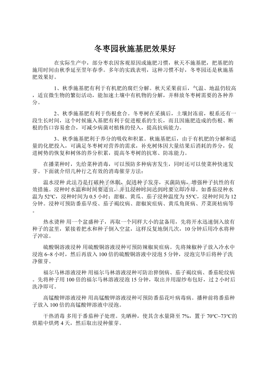 冬枣园秋施基肥效果好.docx