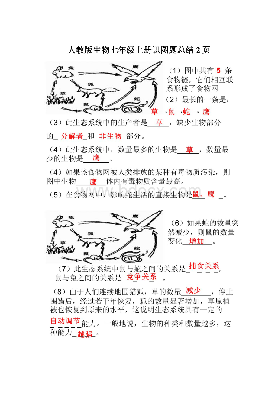 人教版生物七年级上册识图题总结2页.docx