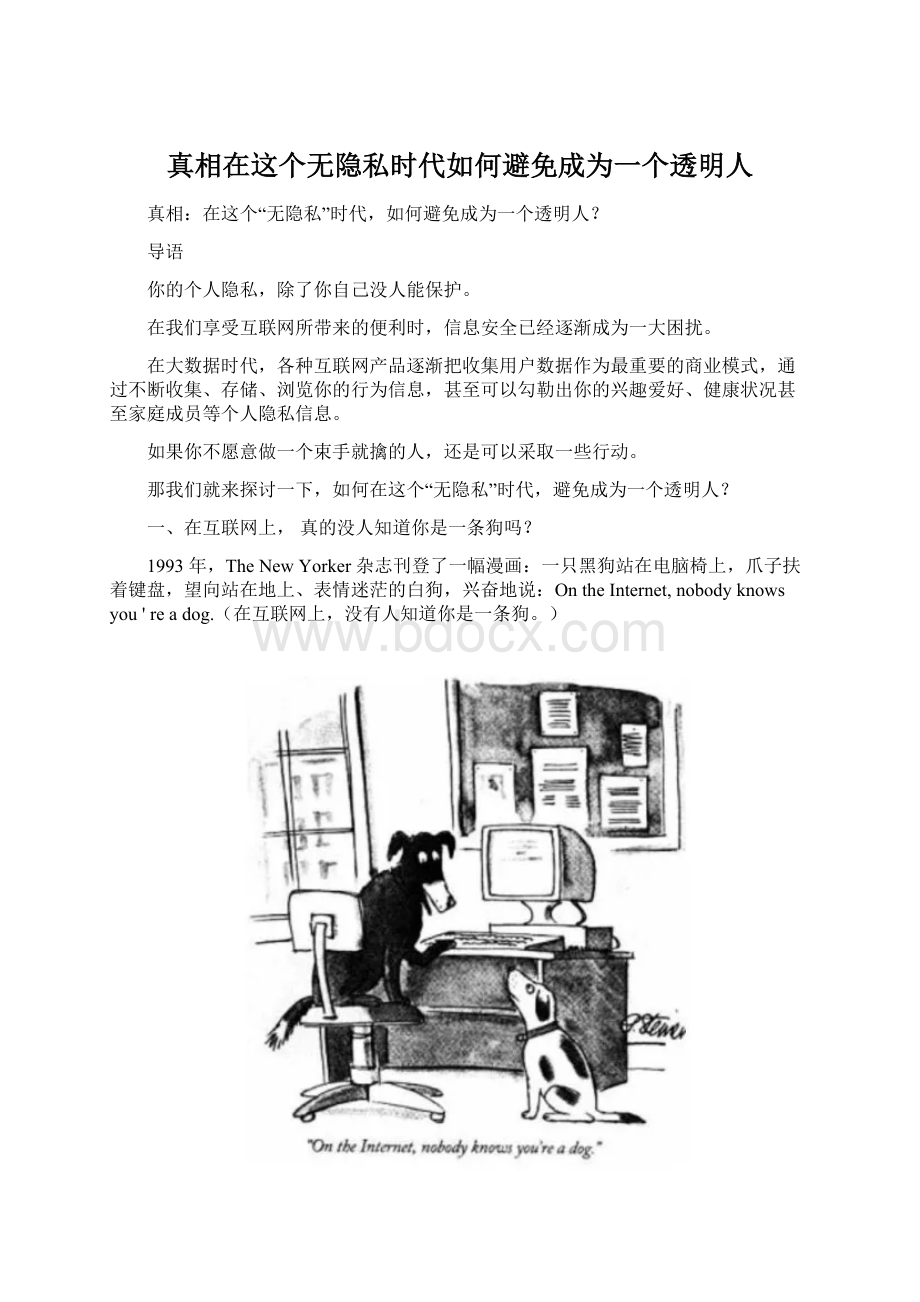 真相在这个无隐私时代如何避免成为一个透明人.docx_第1页