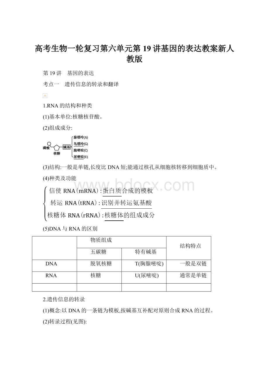 高考生物一轮复习第六单元第19讲基因的表达教案新人教版.docx_第1页