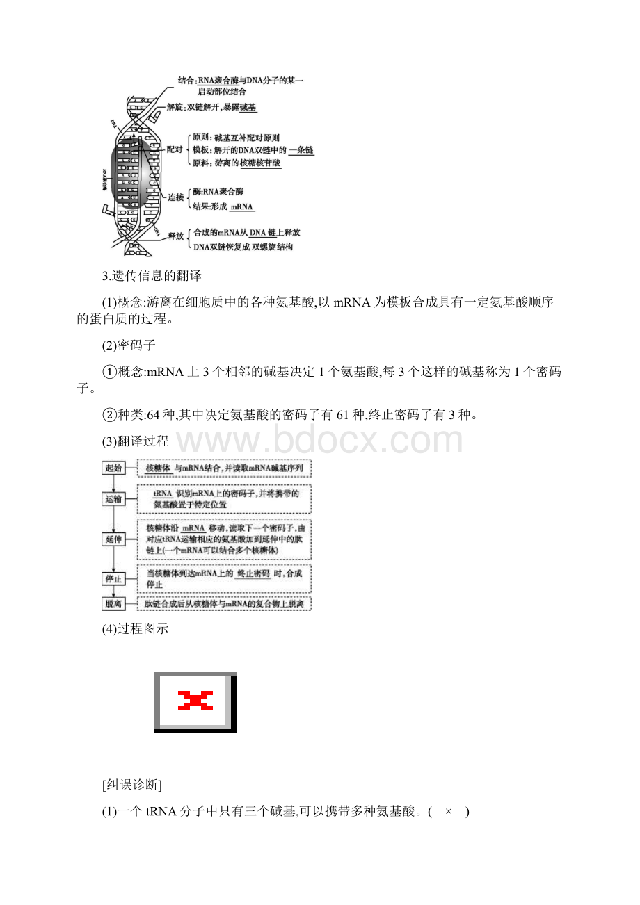 高考生物一轮复习第六单元第19讲基因的表达教案新人教版.docx_第2页