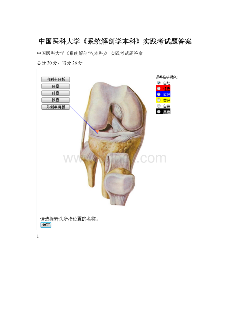 中国医科大学《系统解剖学本科》实践考试题答案.docx_第1页