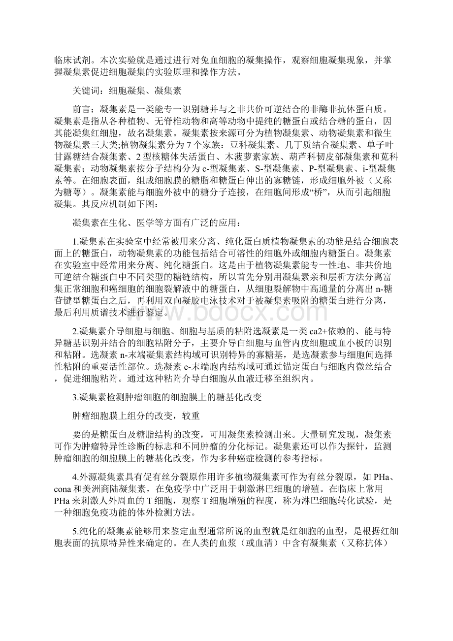 血液凝集实验报告.docx_第3页