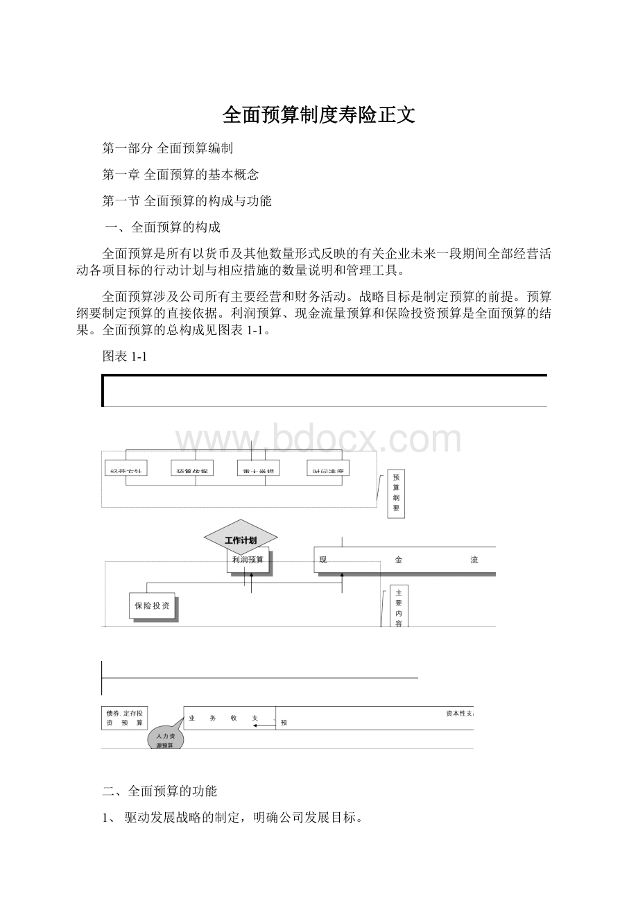 全面预算制度寿险正文.docx