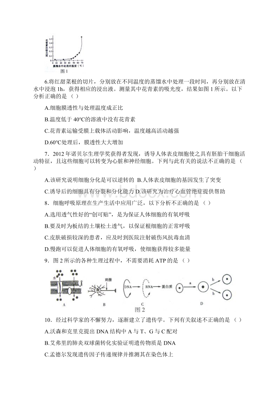 海淀期末生物.docx_第2页