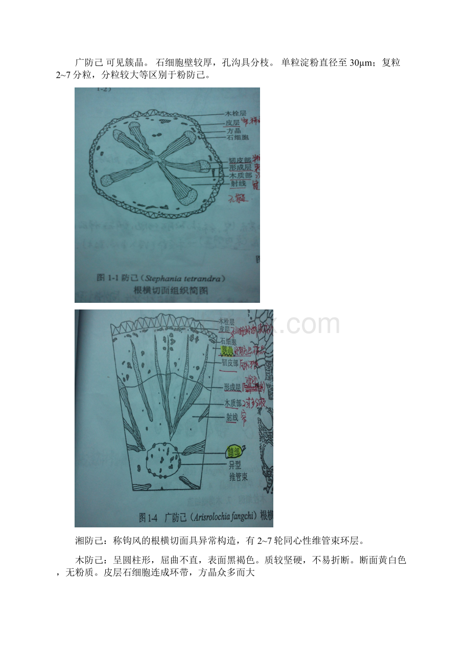 中药显微鉴定优质文档可下载可修改.docx_第2页