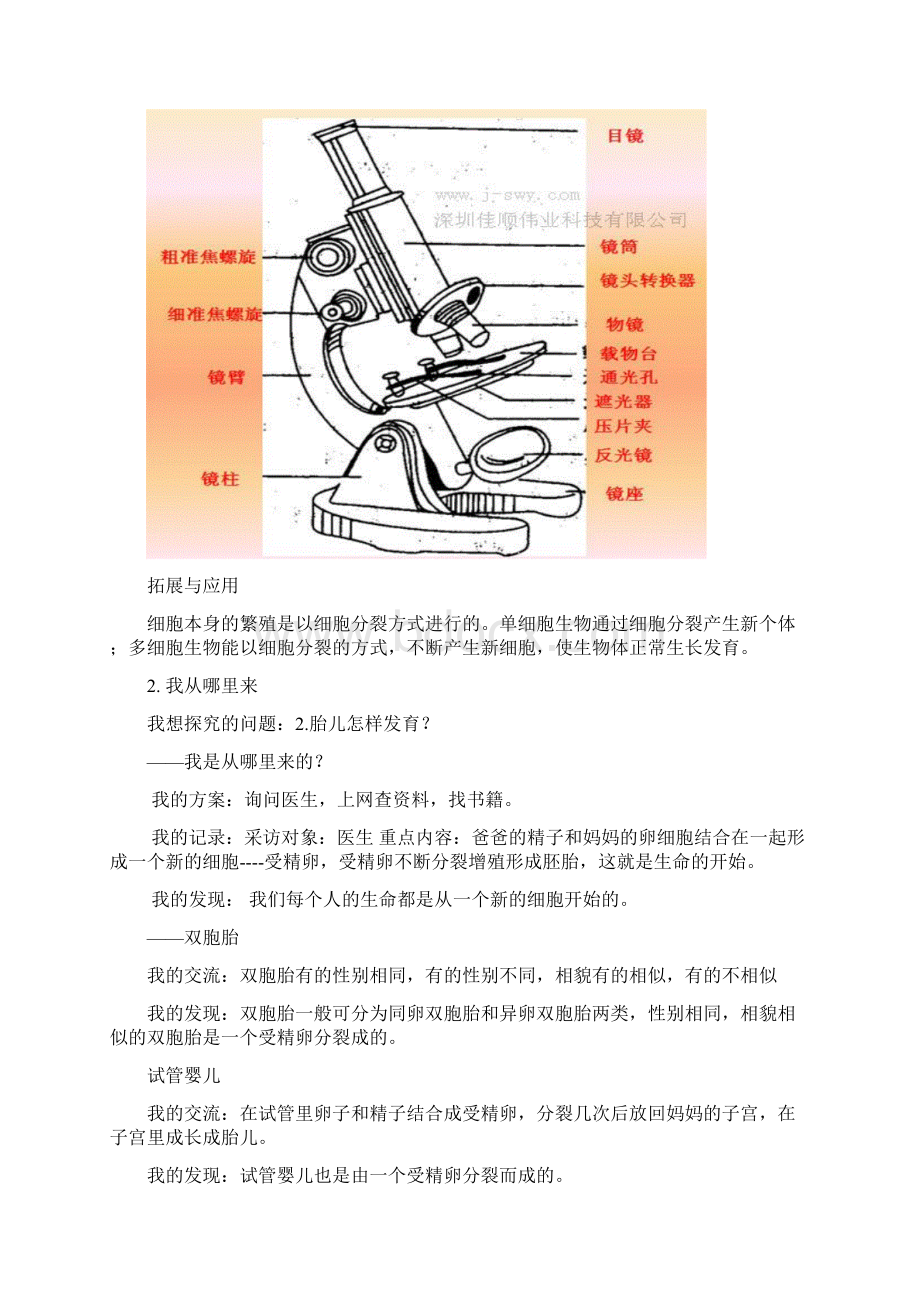 青岛版六年级下册科学基础训练答案全.docx_第2页