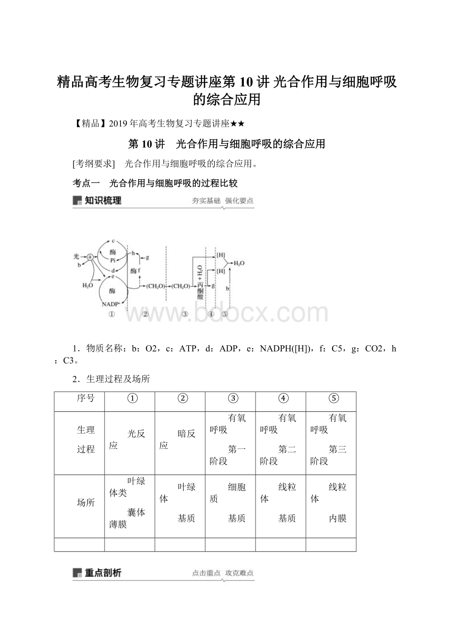 精品高考生物复习专题讲座第10讲 光合作用与细胞呼吸的综合应用.docx_第1页