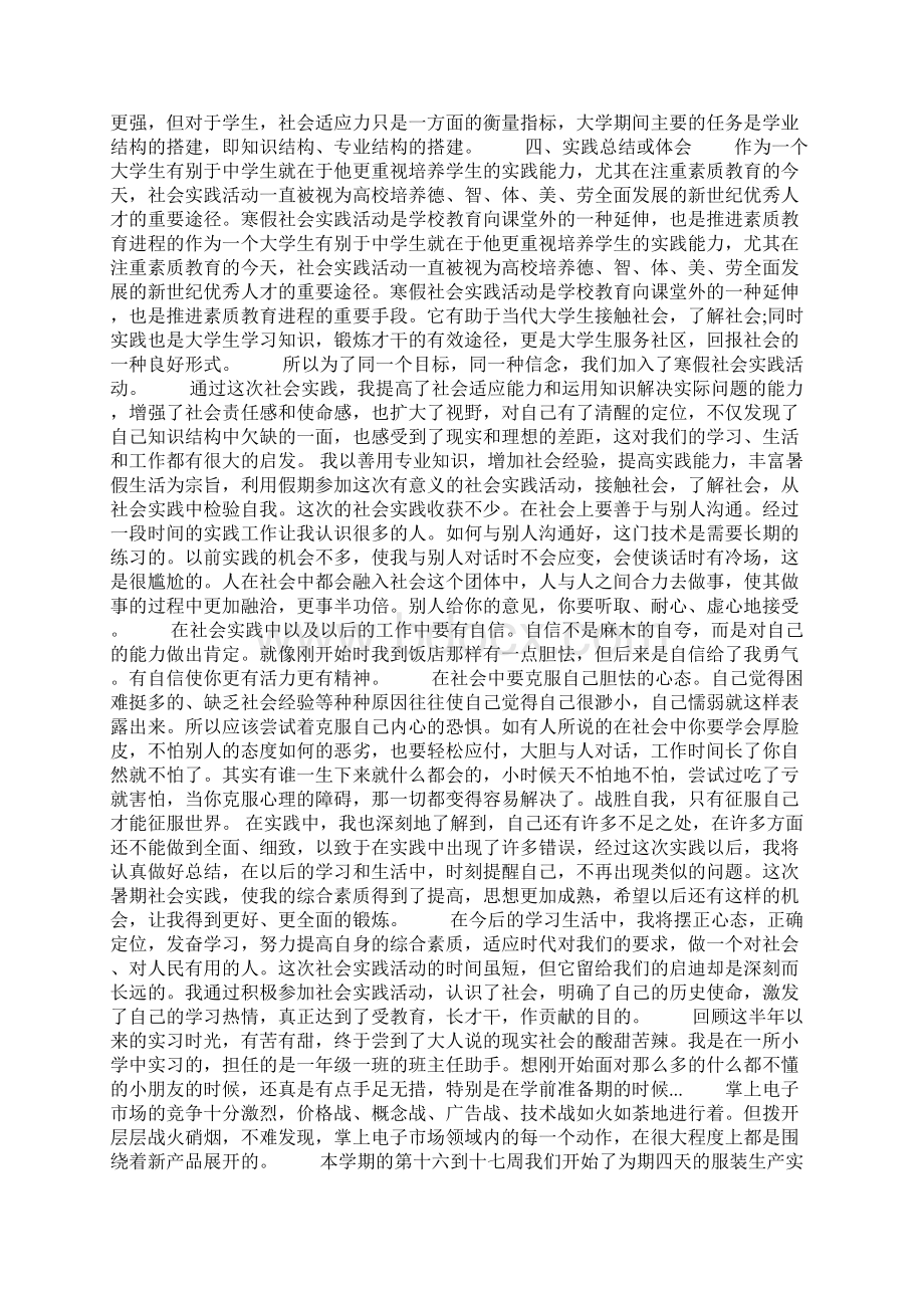 销售实践报告范文3000字.docx_第2页