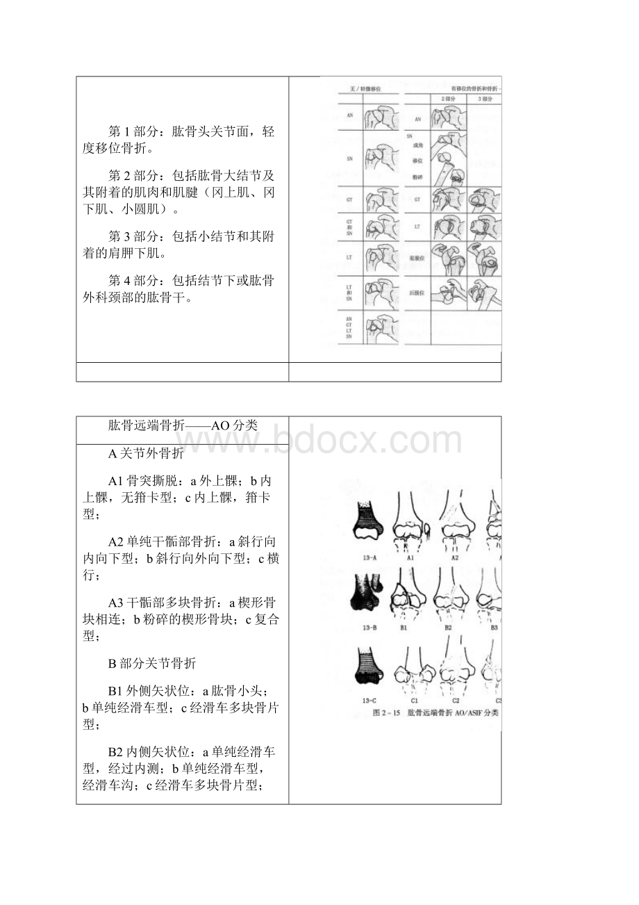 骨折分型参照表.docx_第2页