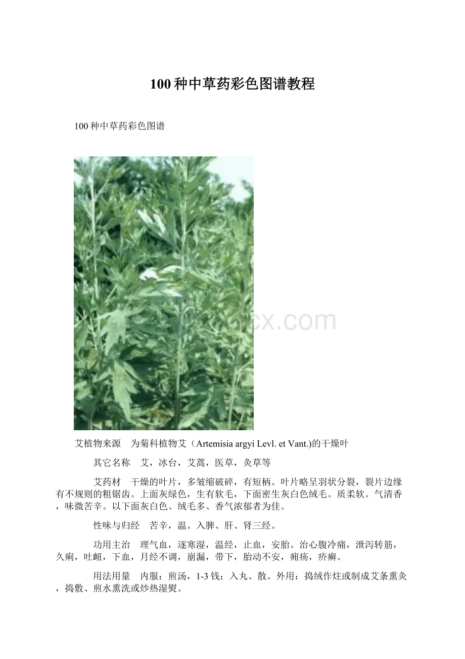 100种中草药彩色图谱教程.docx_第1页