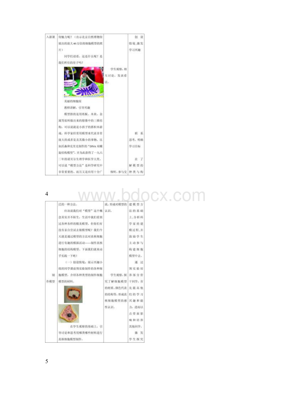 制作生物细胞模型课稿图文精doc.docx_第3页